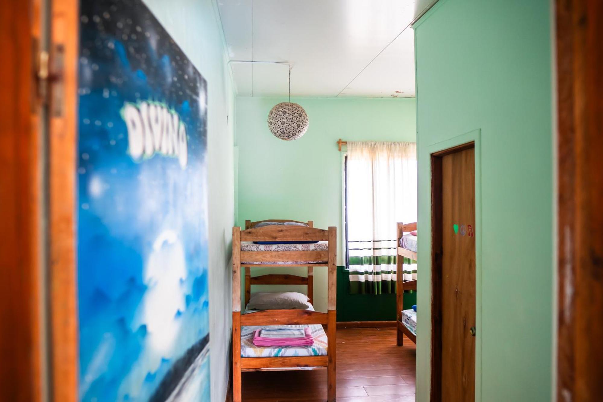 La Rubia Hostel ลาเปเดรรา ห้อง รูปภาพ